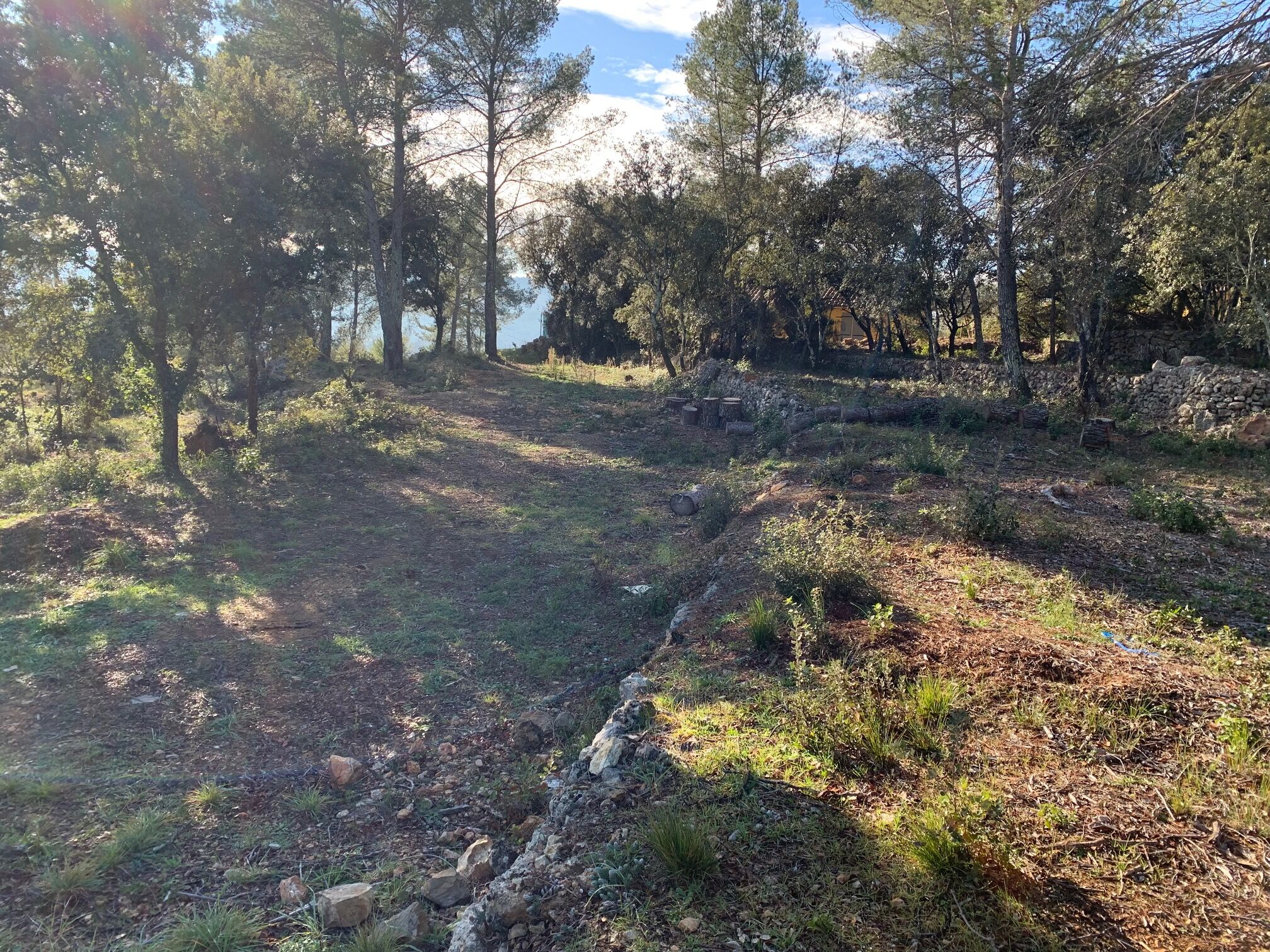 Terrain  à vendre Montfort-sur-Argens 83570