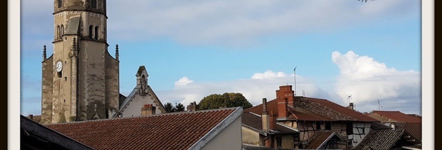 Maison 6 Pièces 165 m² à vendre à Bâgé-le-Châtel (01380)