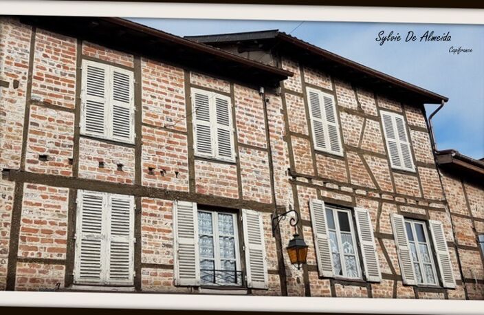 Maison de village 165 m² avec locaux commerciaux à vendre BAGE LE CHATEL (01) cour et appartement — photo 2