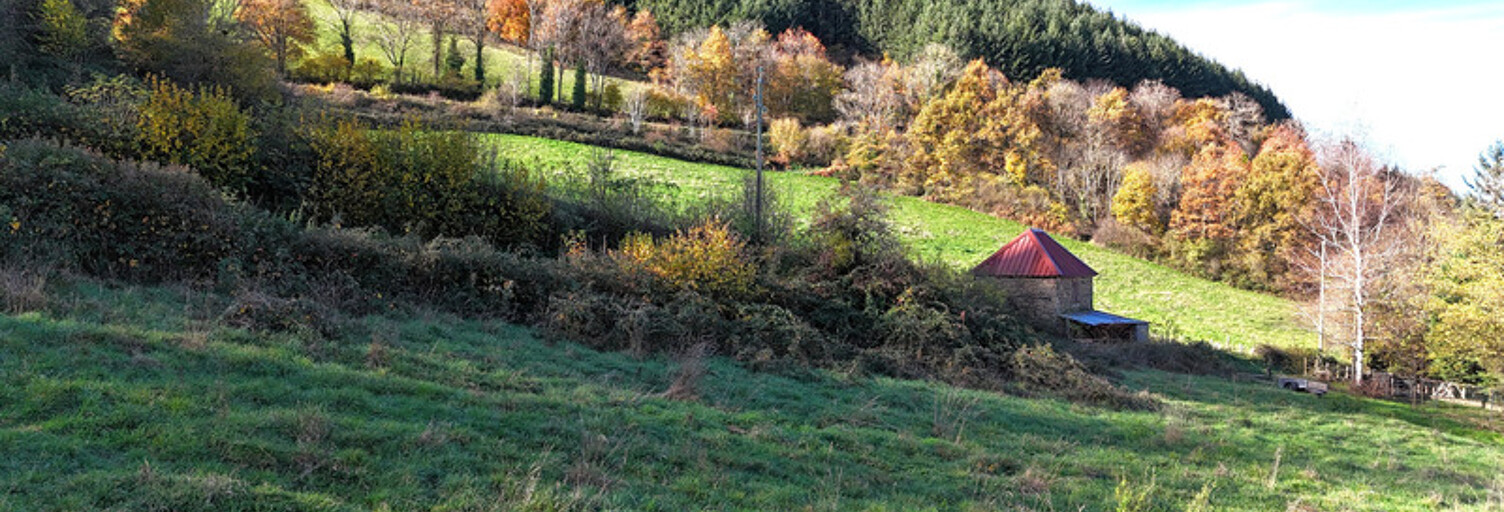 Terrain  2179 m² à vendre à Sainte-Colombe-sur-Gand (42540)