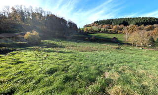 Terrain  2179 m² à vendre à Sainte-Colombe-sur-Gand (42540)