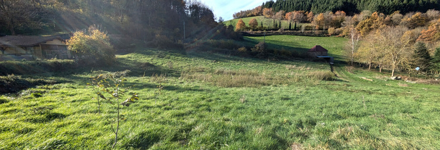 Terrain  2179 m² à vendre à Sainte-Colombe-sur-Gand (42540)