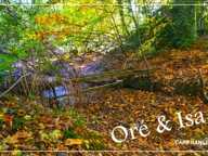 Etang et Terrain à vendre de 49 655,00 m² SAINT DESIRE (03) — photo 4