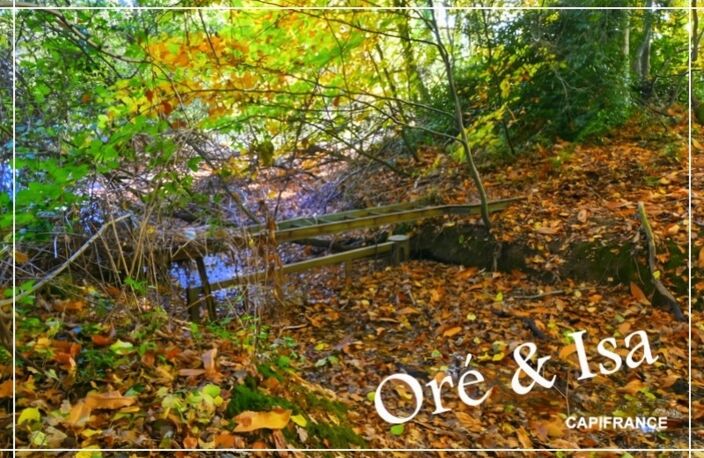 Etang et Terrain à vendre de 49 655,00 m² SAINT DESIRE (03) — photo 4