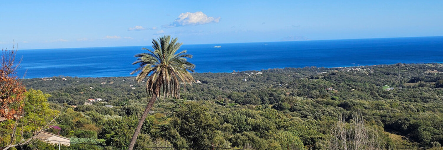 Maison 5 Pièces 135 m² à vendre à Cervione (20221)