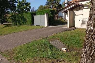 Appartement 1 pièces 420 €