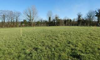 Terrain  10000 m² à vendre à Condé-en-Normandie (14110)