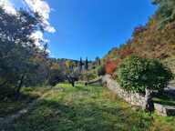 Limite Gard/Ardèche - Charmante maison sur 4 hectares de terrain — photo 3
