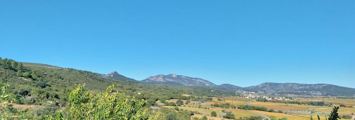 Maison 4 Pièces 67 m² à vendre à Saint-Guiraud (34725)