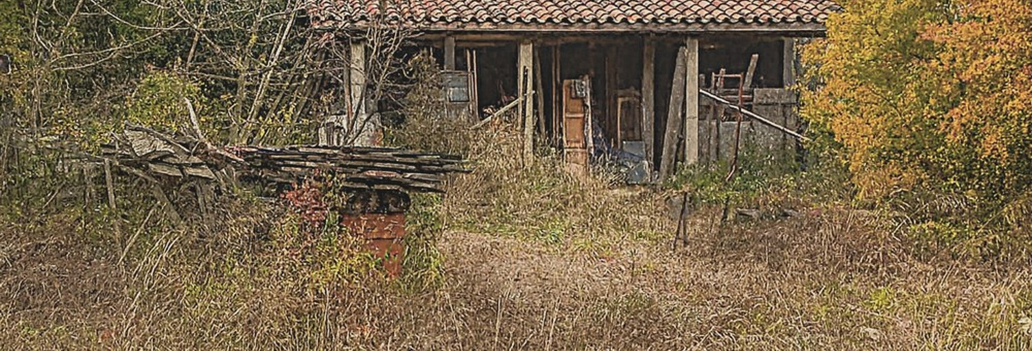 Terrain  5000 m² à vendre à Coulobres (34290)