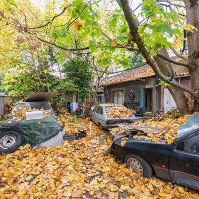 Maison 3 pièces 367000 €