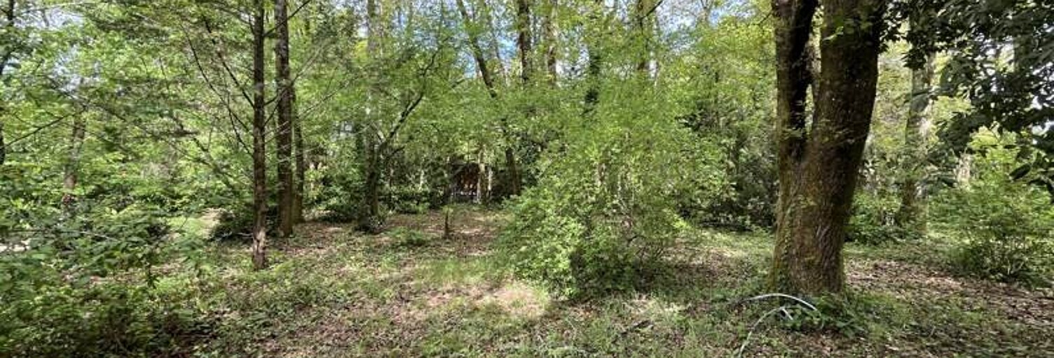 Maison 8 Pièces 248 m² à vendre à Martignas-sur-Jalle (33127)