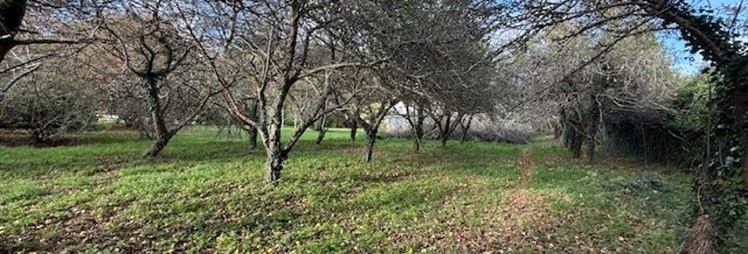 Terrain  3100 m² à vendre à Plozévet (29710)