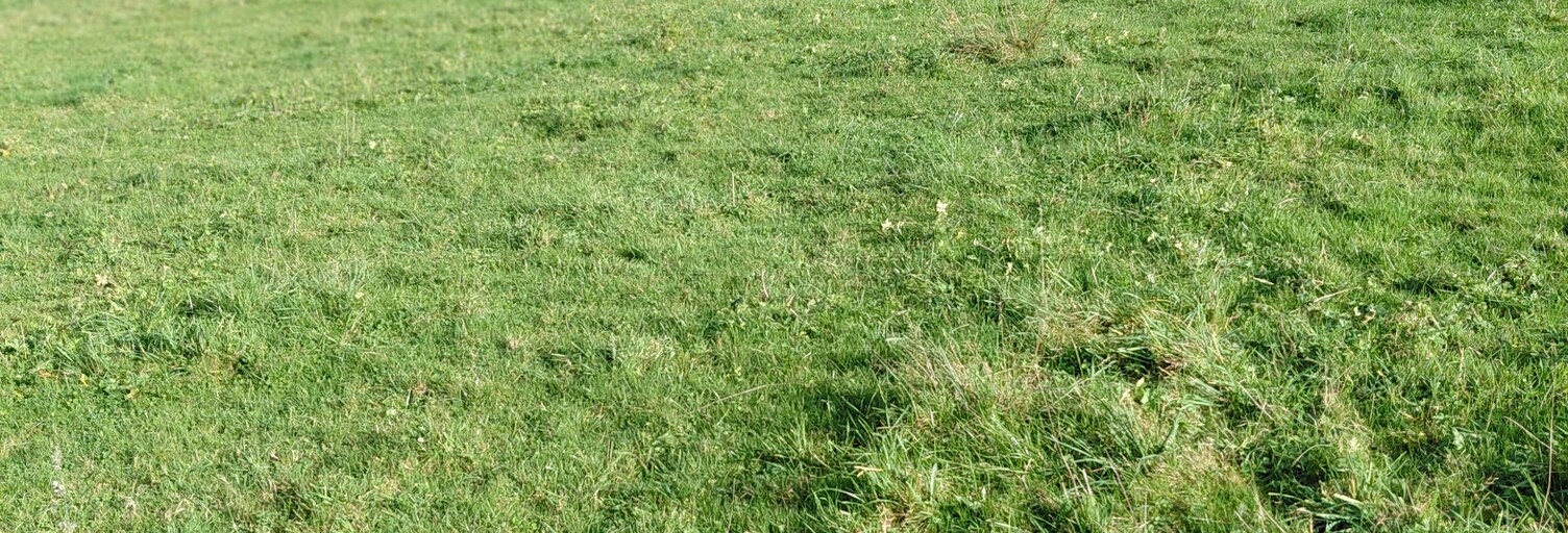 Terrain  919 m² à vendre à Barlest (65100)