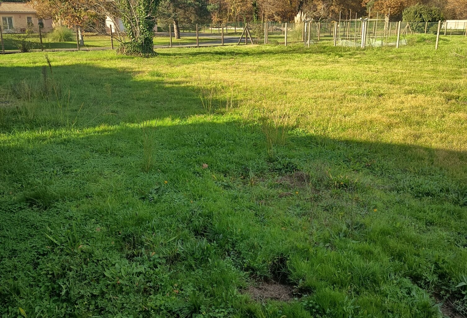 Vente Terrain à bâtir 1 279 m&sup2; — photo 1