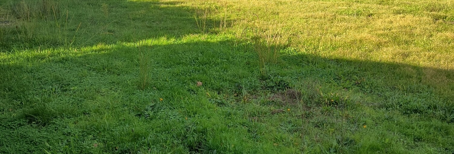 Terrain  1279 m² à vendre à Chamadelle (33230)