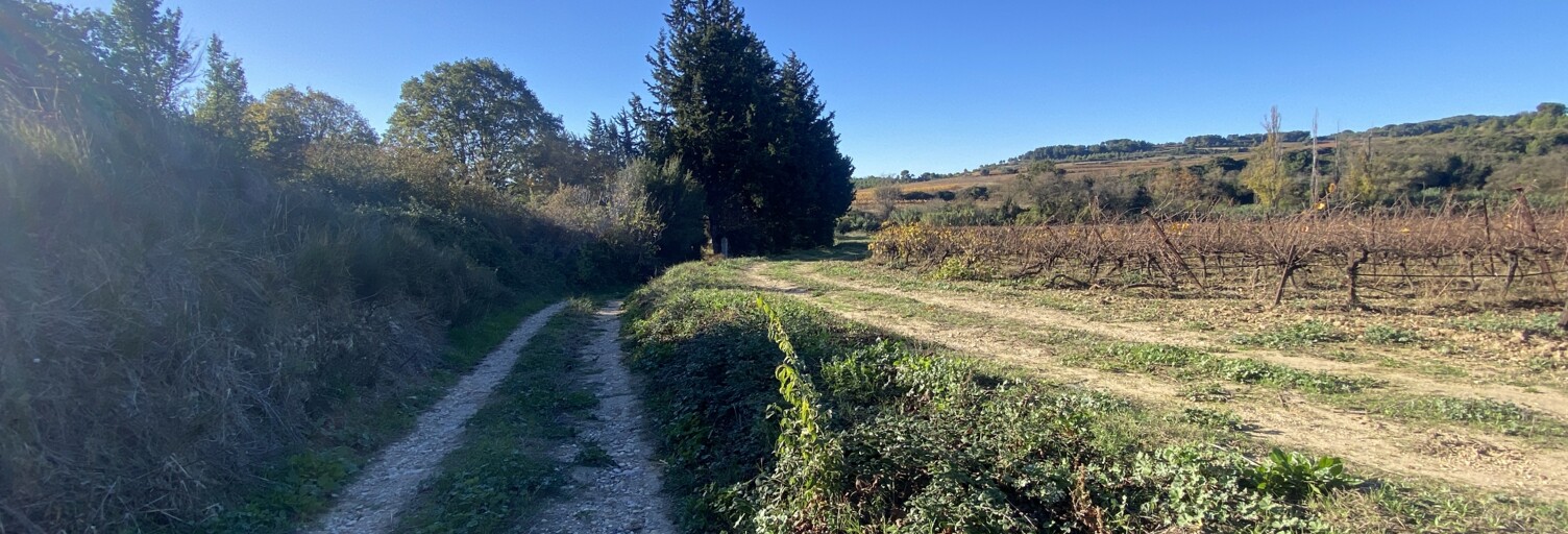 Terrain  2430 m² à vendre à Quarante (34310)