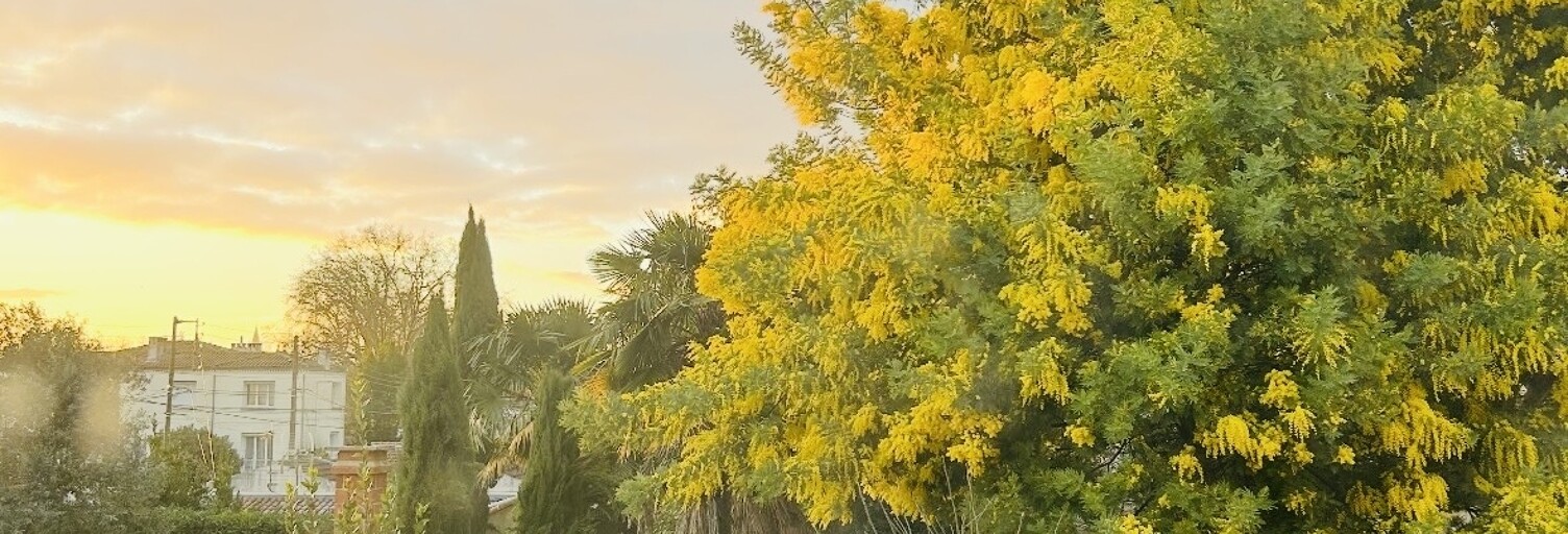 Maison 4 Pièces 90 m² à vendre à Saintes (17100)