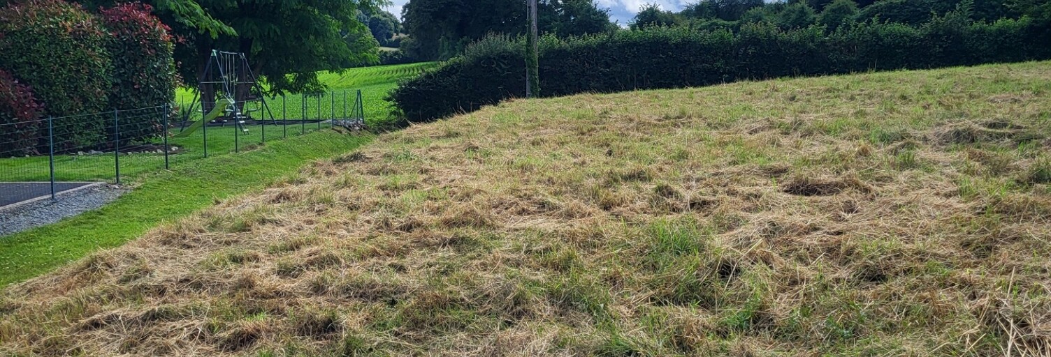 Terrain  933 m² à vendre à Saint-Pierre-sur-Orthe (53160)