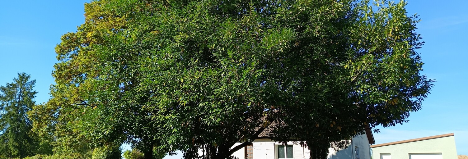 Maison 3 Pièces 72 m² à vendre à Soulangis (18220)