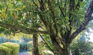 Maison 3 Pièces 72 m² à vendre à Soulangis (18220)