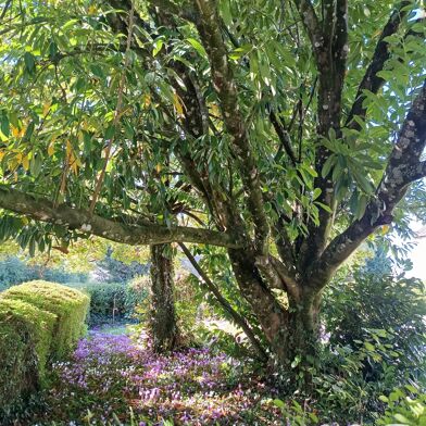 Maison 3 pièces 110000 €