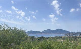 Terrain  738 m² à vendre à Albitreccia (20166)