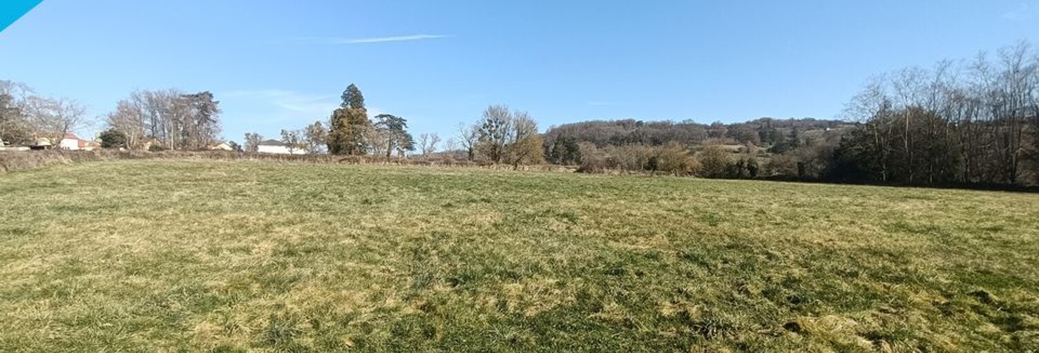 Terrain  10667 m² à vendre à Saint-Gengoux-le-National (71460)
