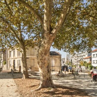 Appartement 2 pièces 910 €