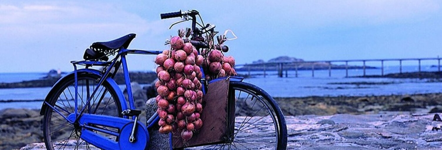 Terrain  310 m² à vendre à Roscoff (29680)