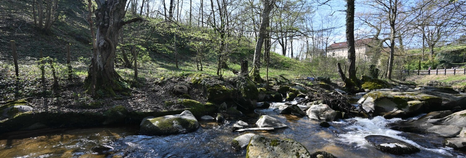 Photo N° 2