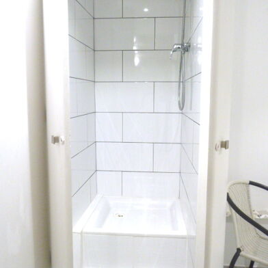 Appartement 1 pièces 490 €