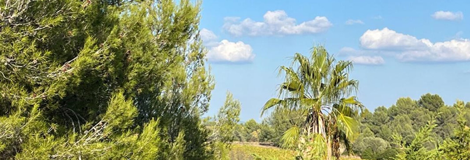 Maison 6 Pièces 168 m² à vendre à Teyran (34820)