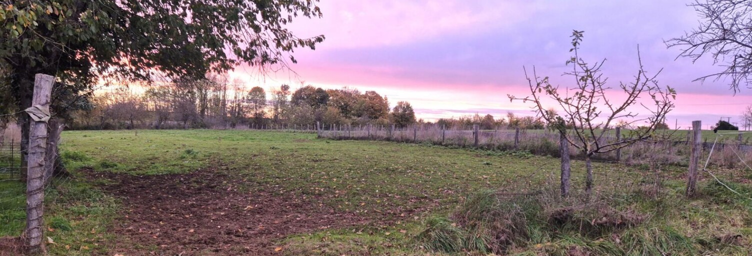 Maison 9 Pièces 164 m² à vendre à Wassy (52130)