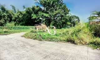 Terrain  429 m² à vendre à Le Morne-Rouge (97260)