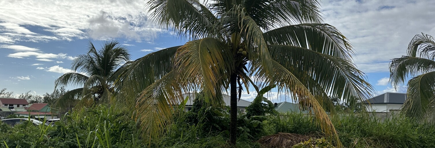 Terrain  500 m² à vendre à Capesterre-Belle-Eau (97130)