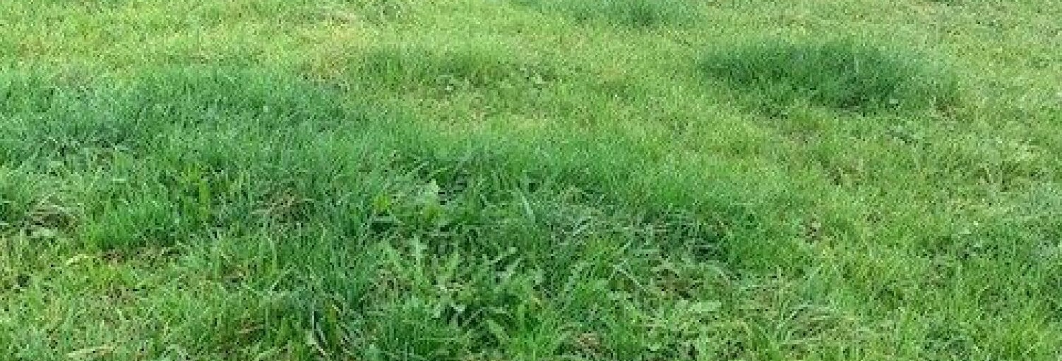 Terrain  620 m² à vendre à Ayn (73470)