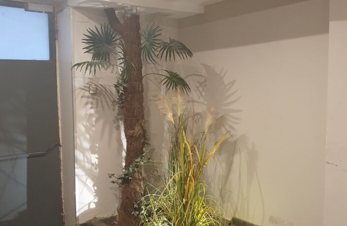Vente Immeuble 7 pièces — photo 3