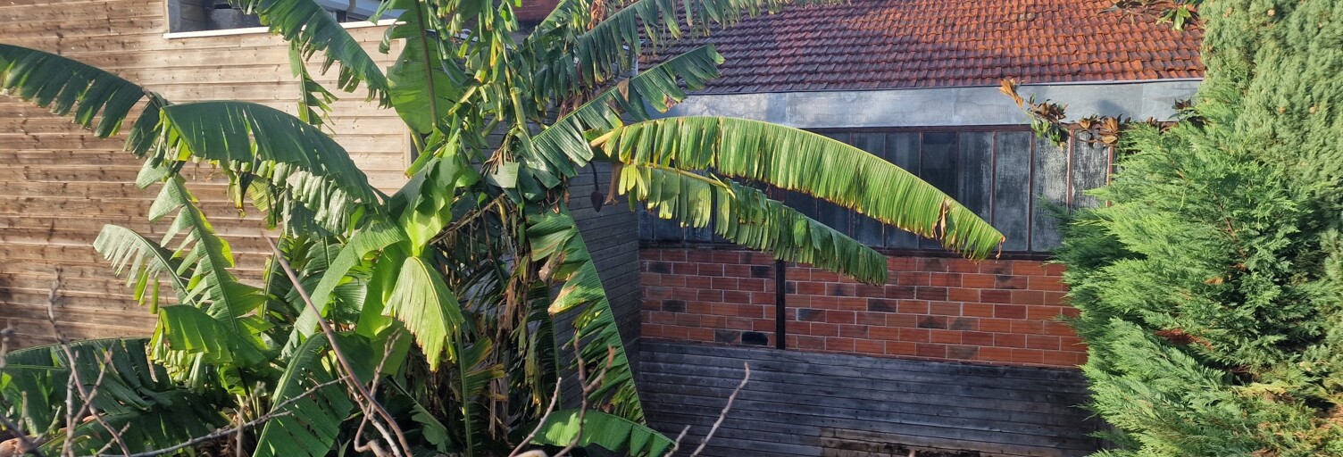 Maison 5 Pièces 135 m² à vendre à Bègles (33130)