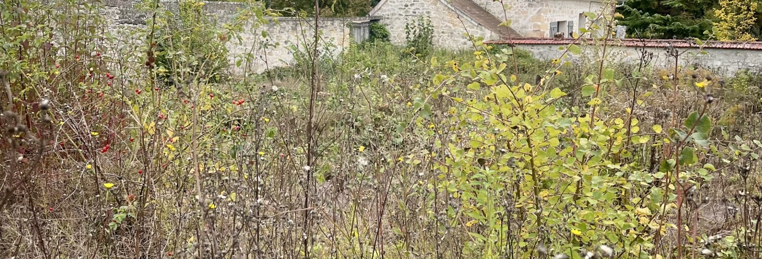 Terrain  1142 m² à vendre à Labbeville (95690)