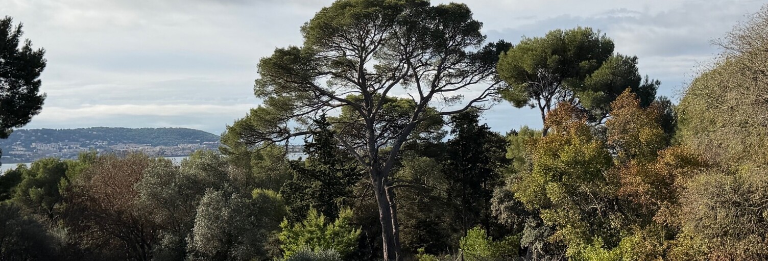 Maison 5 Pièces 140 m² à vendre à Balaruc-les-Bains (34540)