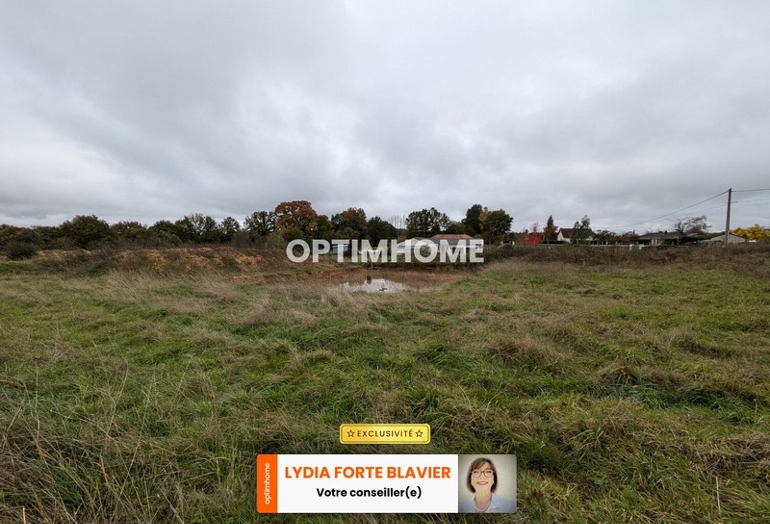 TERRAIN - 4764 m² - VIABILISE - SAINT HILAIRE LES PLACES (87) — photo 1