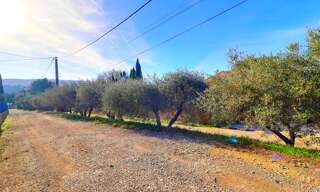 Maison 6 Pièces 152 m² à vendre à Cuges-les-Pins (13780)