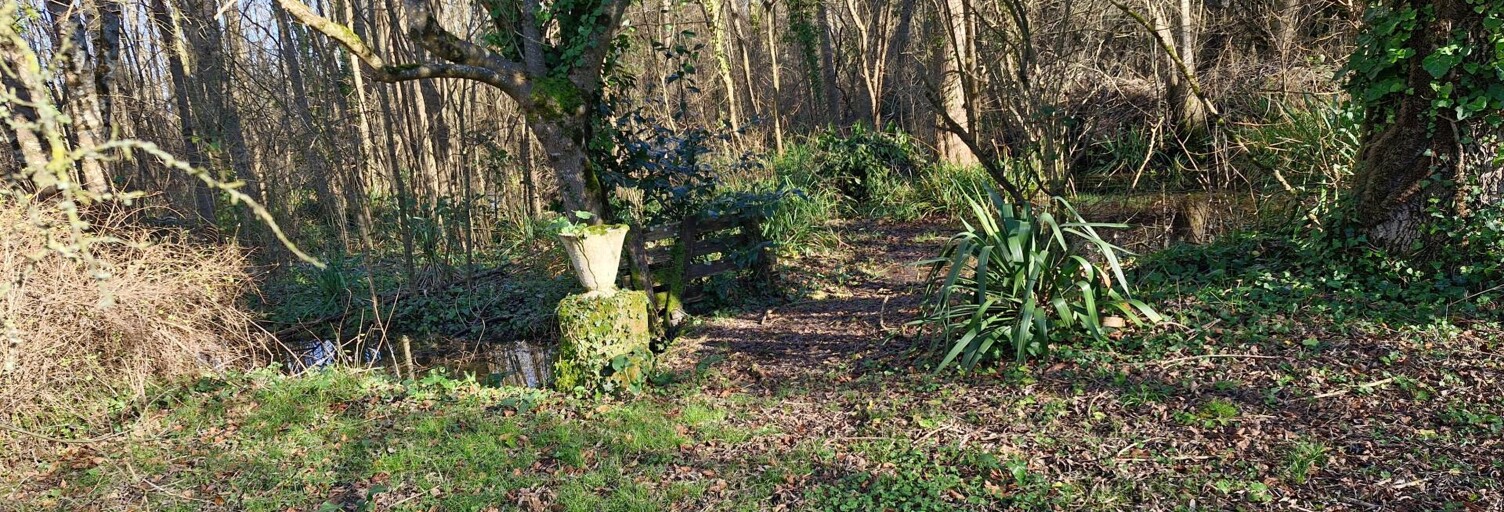 Maison 8 Pièces 150 m² à vendre à Vervant (17400)