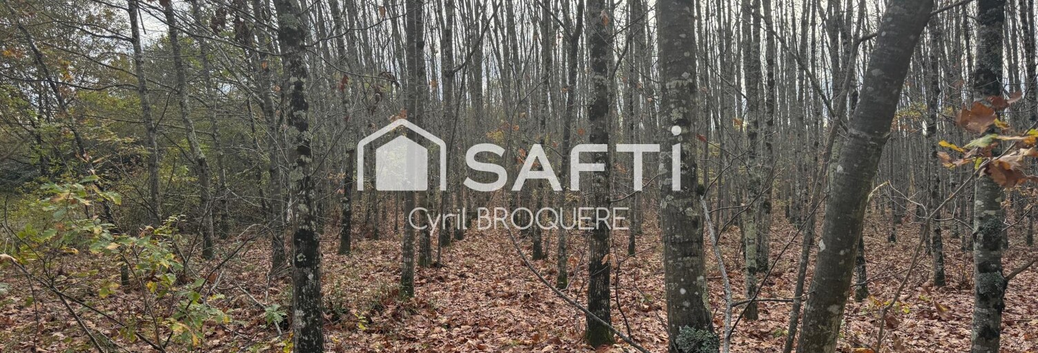 Terrain  14165 m² à vendre à Escatalens (82700)