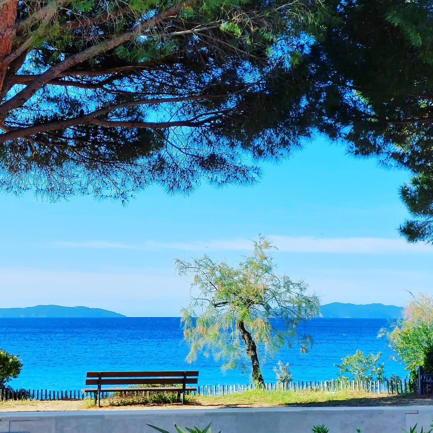 Appartement  T3 à vendre Lavandou (Le) 83980