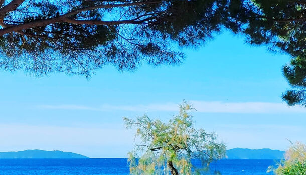 Appartement 3 pièces  à vendre Lavandou (Le) 83980