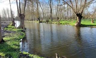 Terrain  4390 m² à vendre à Le Vanneau-Irleau (79270)