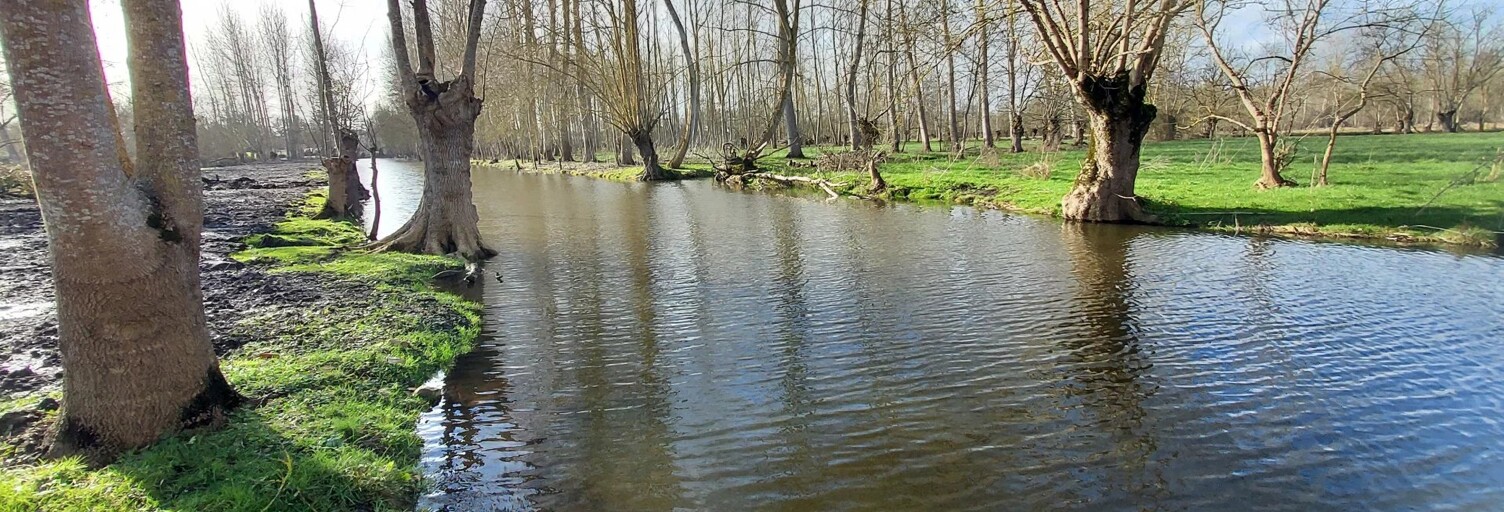 Terrain  4390 m² à vendre à Le Vanneau-Irleau (79270)