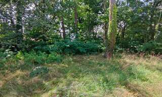 Terrain  3621 m² à vendre à Cestas (33610)